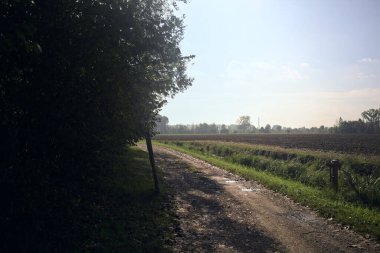 Kırsalda çamurlu patika