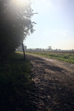 Kırsalda çamurlu patika