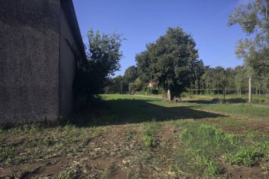 Terk edilmiş bir depo, ağacın yanında.