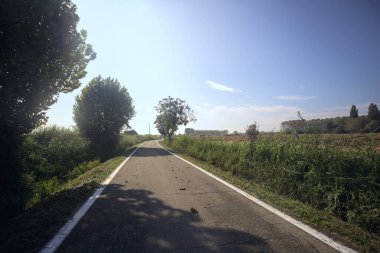 Ağaçlı köy yolu