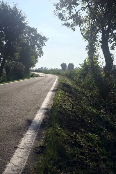 Ağaçlı köy yolu