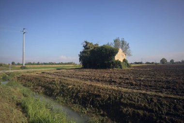 Terk edilmiş kır evi bir tarlada