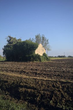 Terk edilmiş kır evi bir tarlada