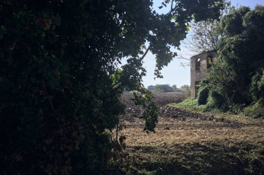 Terk edilmiş kır evi bir tarlada