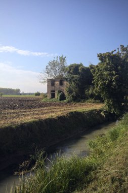 Terk edilmiş kır evi bir tarlada