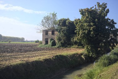 Terk edilmiş kır evi bir tarlada