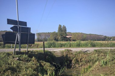 Bir tarla ile çevrili köy yolu