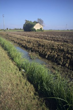Terk edilmiş kır evi bir tarlada