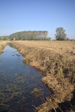 Alanlar arasında sulama kanalı