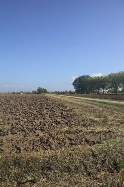 Alanlar arasındaki asfalt yol