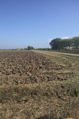 Alanlar arasındaki asfalt yol