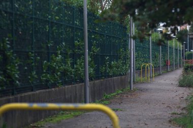 Çitin yanındaki asma.