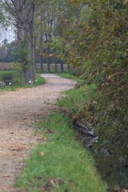 Parktaki toprak izi.