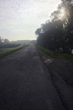 Köy yolu ve huş ağacı.