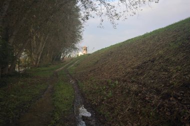 Nehir kıyısında sel basmış koruluk