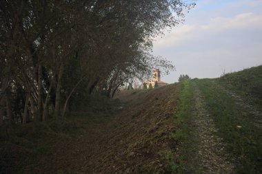 Bir koruluktaki patikaya tırmanıyorum.