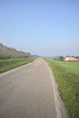 Tarlanın yanındaki köy yolu.