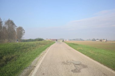 Tarlanın yanındaki köy yolu.