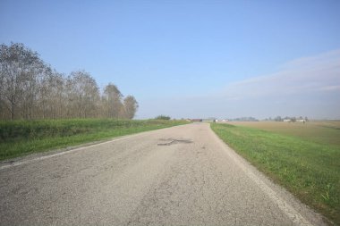 Köy yolu ve huş ağacı.