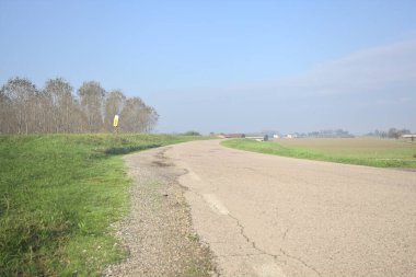 Köy yolu ve huş ağacı.