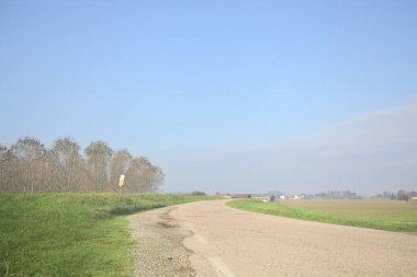 Köy yolu ve huş ağacı.