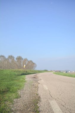 Köy yolu ve huş ağacı.