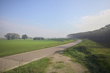 Çimenli bir arazinin yanındaki köy yolu