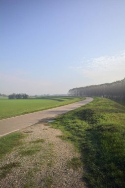 Çimenli bir arazinin yanındaki köy yolu