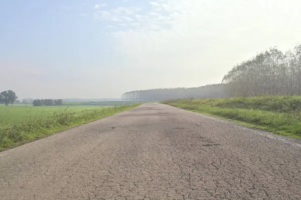 Çimenli bir arazinin yanındaki köy yolu