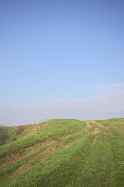 Bir koruluktaki patikaya tırmanıyorum.