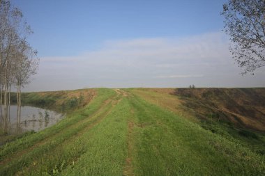 Bir koruluktaki patikaya tırmanıyorum.