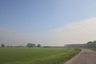 Çimenli bir arazinin yanındaki köy yolu