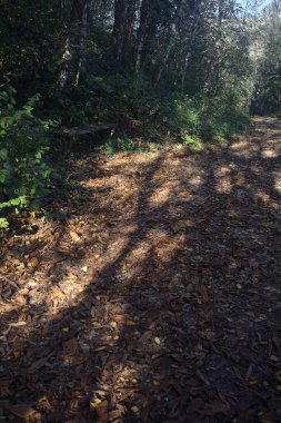 Bir patikada taş bir bank.