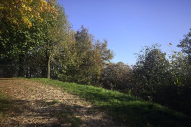 Gün batımında ormanda bir patika