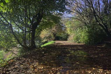 Gün batımında dağlarda yol
