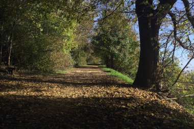 Gün batımında dağlarda yol