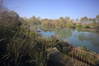 Ormandan geçen bir nehir.