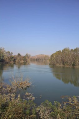 Sonbaharda parkta bir nehir