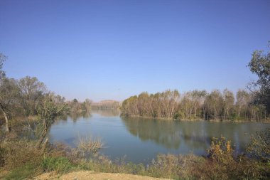 Sonbaharda parkta bir nehir