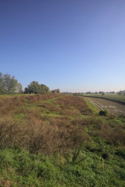 sonbaharda ekili alanlar