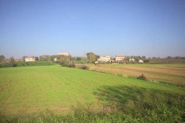 sonbaharda ekili alanlar