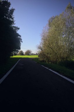 Ağaçların arasındaki gölgedeki patika