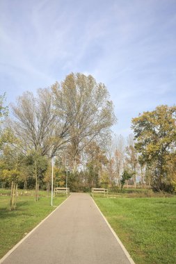 Kırsalda bisiklet yolu