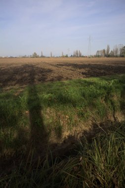 sonbahar sürülmüş alana