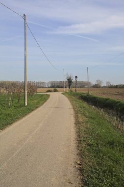 Kırsal kesişen yollarda