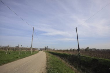 Kırsal kesişen yollarda