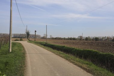 Kırsal kesişen yollarda