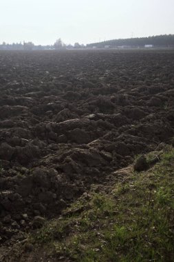 Kırsal kesimde tarla sürdüm.