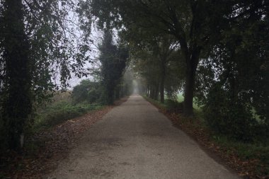 Sisin içinde dar köy yolu