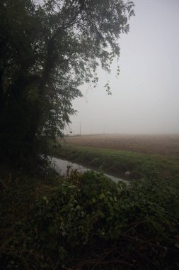 Bir tarlanın yanında hendek